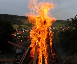 sdc10037