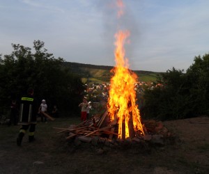 sdc10047