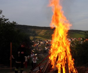 sdc10048