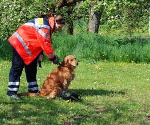 jugendfeuerwehr hd