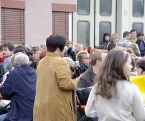 maibaum 2009