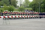 maibaum 2009