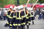 maibaum 2009