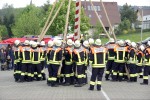 maibaum 2009