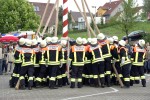 maibaum 2009