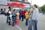 maibaum 2009