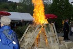 maibaum 2009