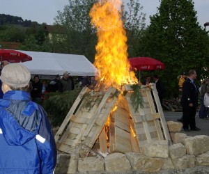 maibaum 2009