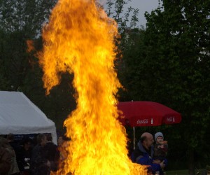 maibaum 2009