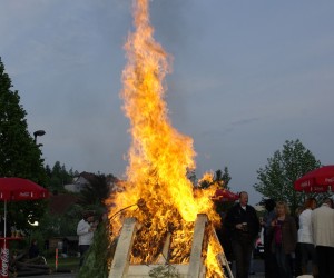 maibaum 2009