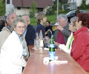maibaum 2009