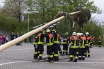 maibaum 2015