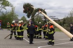 maibaum 2015
