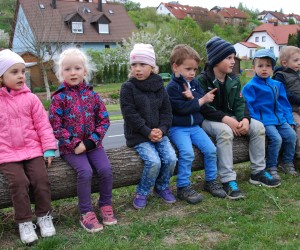 maibaum 2015