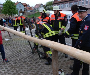 maibaum 2015
