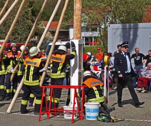 maibaum 300423