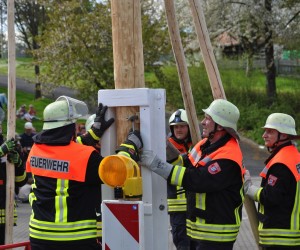 maibaum 300423