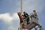 maibaum 300423